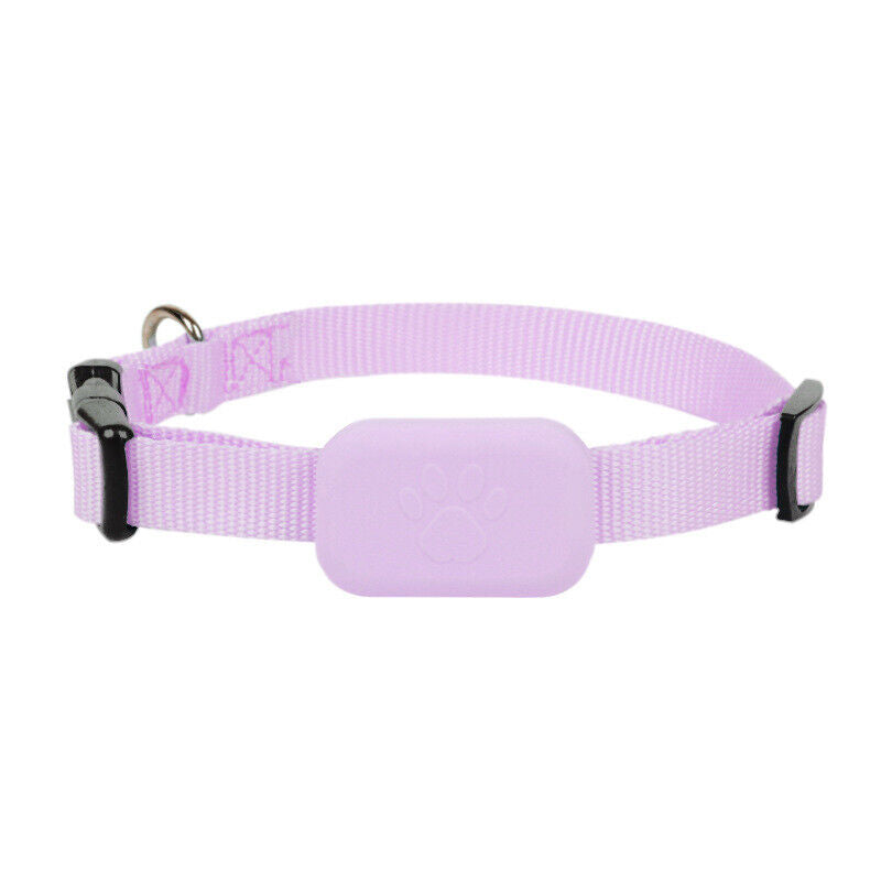 Collier traceur GPS pour chiens et chats, localisation en temps réel