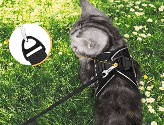 Harnais pour chat anti-fugue avec laisse et éléments réfléchissants