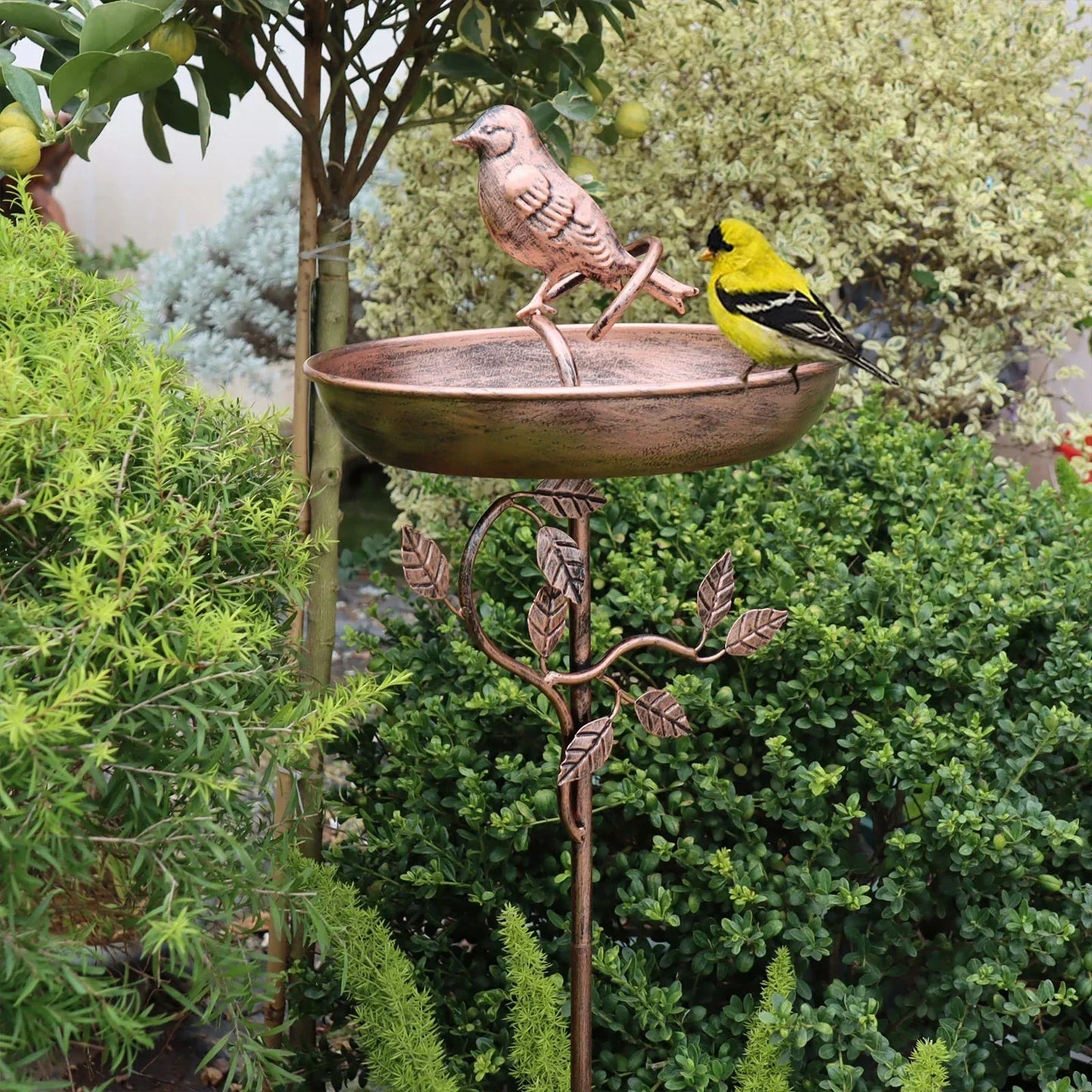 Abreuvoir pour oiseaux de jardin | coupe décorative | piquet robuste