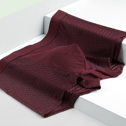 Boxers en bambou pour homme (lot de 10)