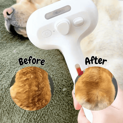Brosse à vapeur pour chiens