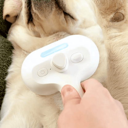 Brosse à vapeur pour chiens
