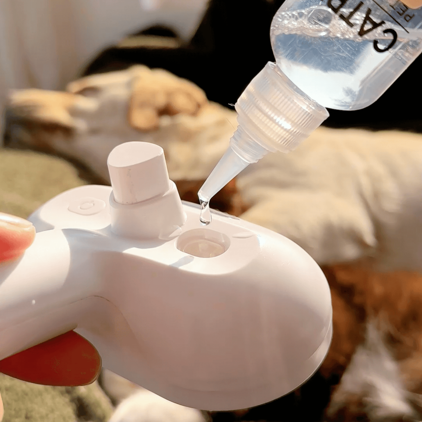Brosse à vapeur pour chiens