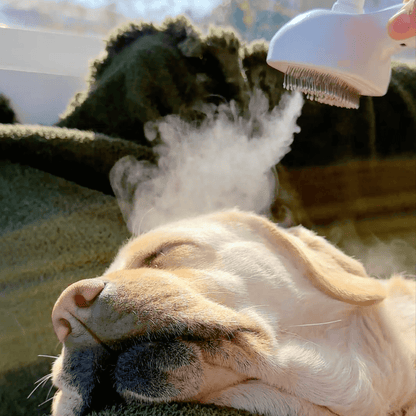 Brosse à vapeur pour chiens
