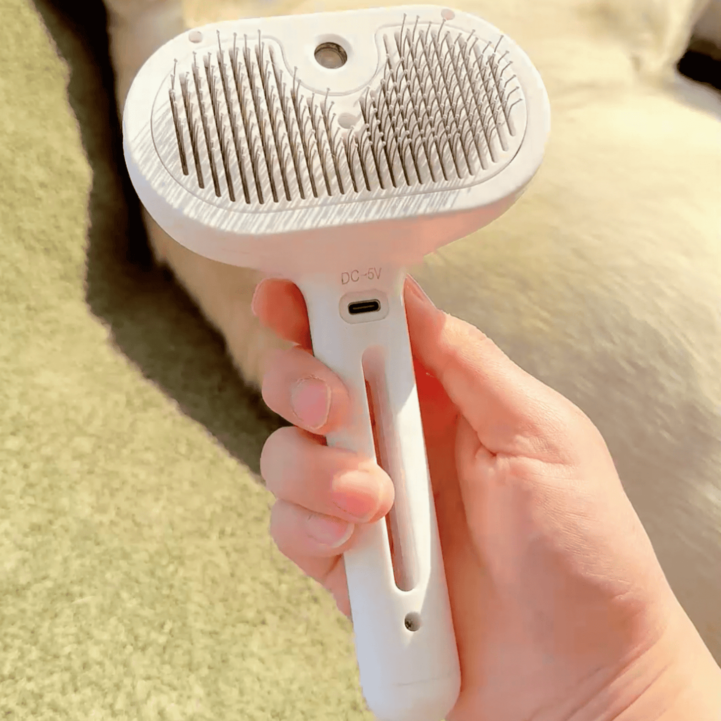 Brosse à vapeur pour chiens