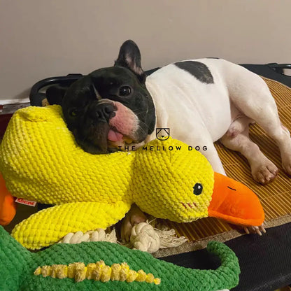 Canard apaisant – pour le bonheur et le bien-être de votre chien
