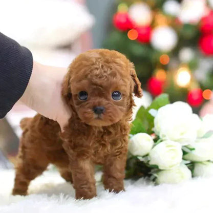 Chien robot réaliste