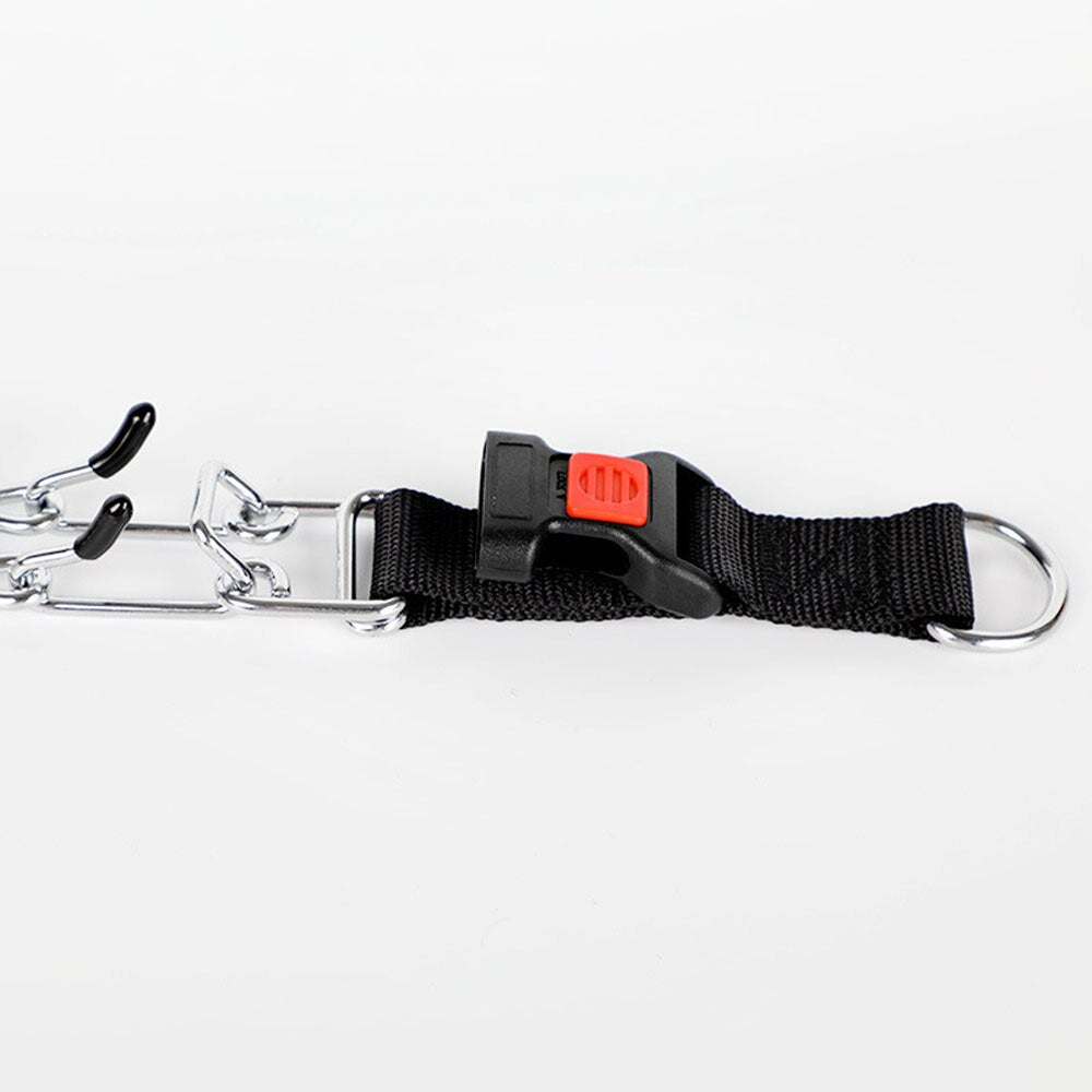 Collier à pointes pour chien - style C