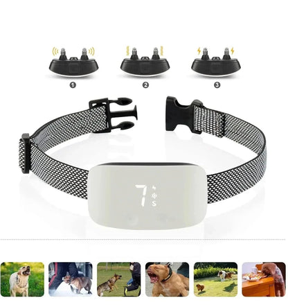 Collier anti-aboiement | rechargeable et étanche