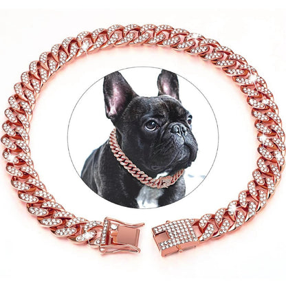 Collier chaîne doré pour chien