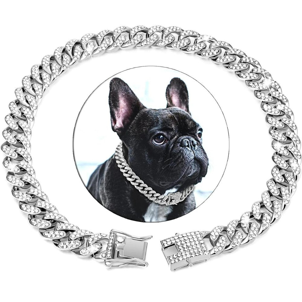 Collier chaîne doré pour chien