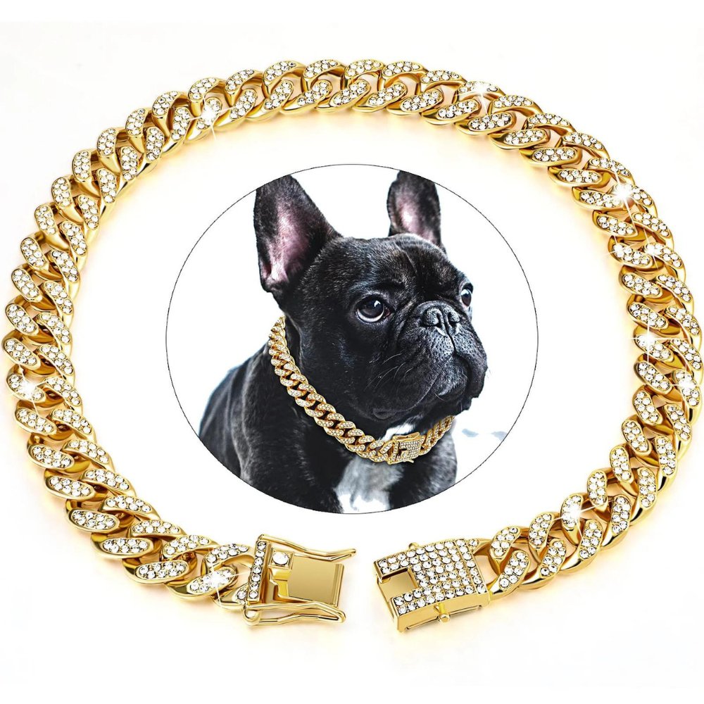 Collier chaîne doré pour chien