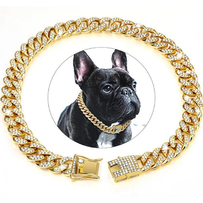 Collier chaîne doré pour chien