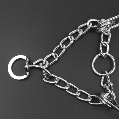 Collier de dressage pour chien réglable avec pointes gainées de caoutchouc