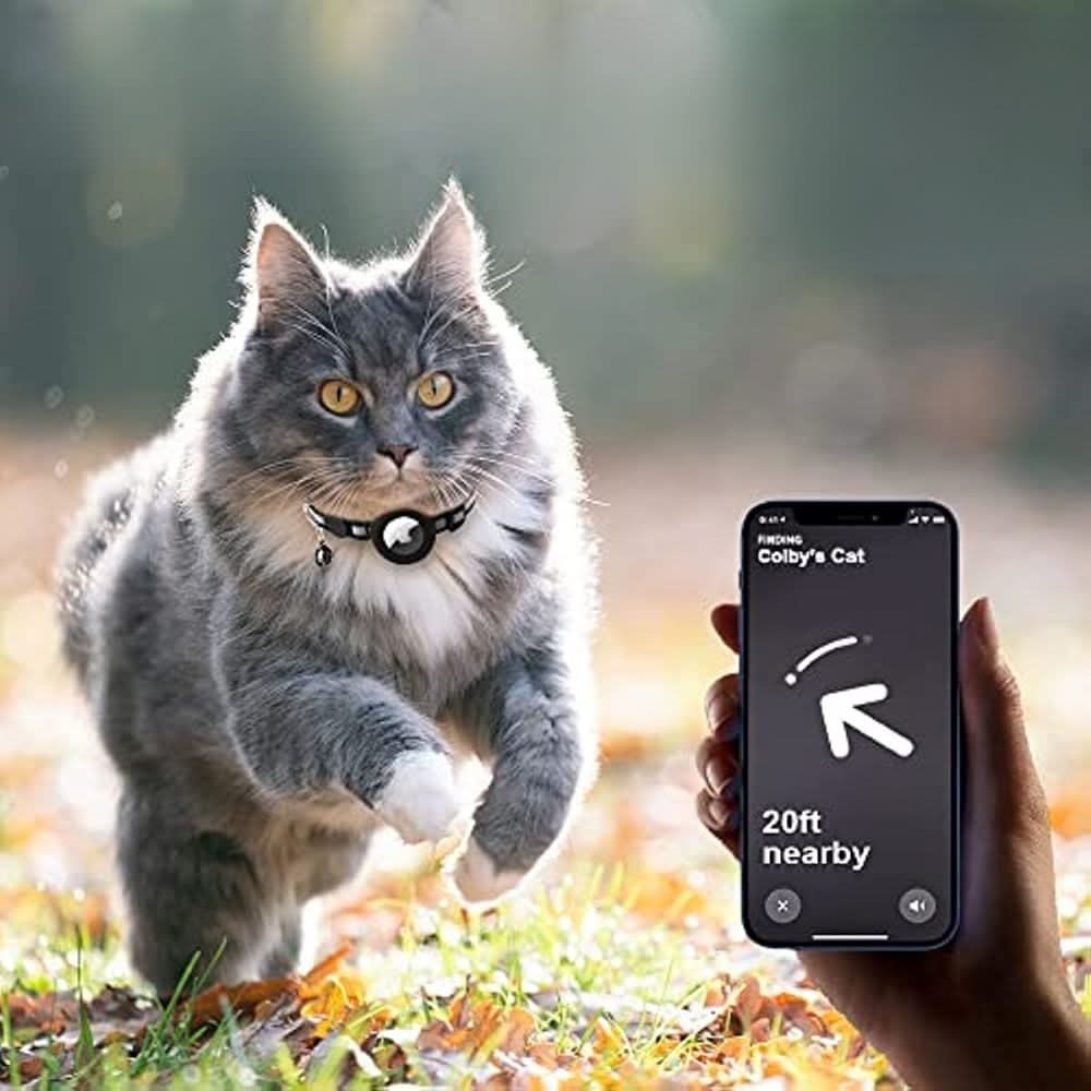 Collier GPS pour chats avec design réfléchissant