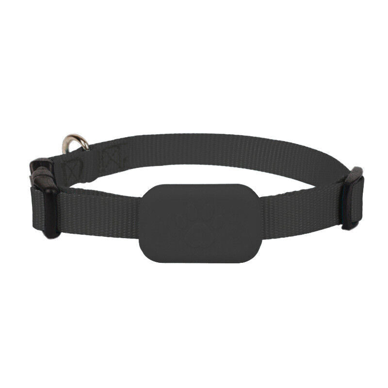 Collier traceur GPS pour chiens et chats, localisation en temps réel