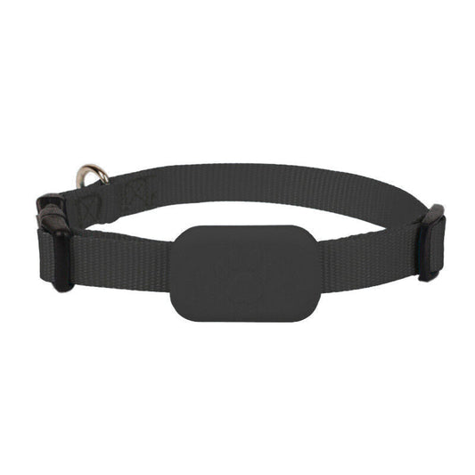 Collier traceur GPS pour chiens et chats, localisation en temps réel