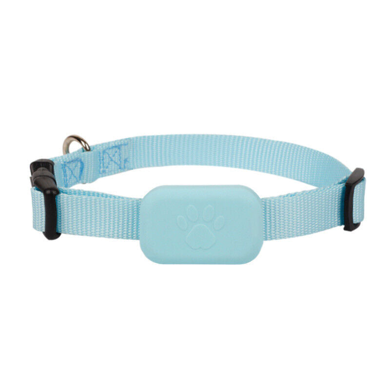 Collier traceur GPS pour chiens et chats, localisation en temps réel