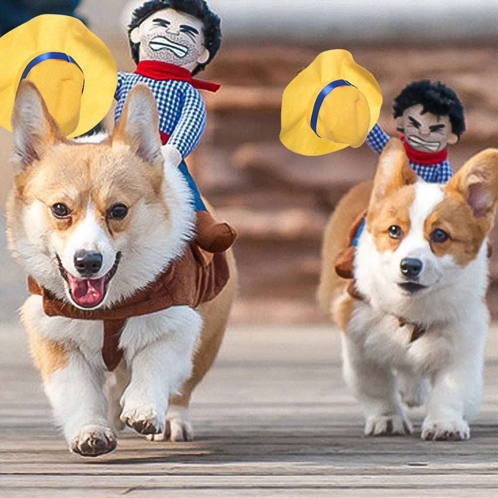 Déguisement d’Halloween pour chien
