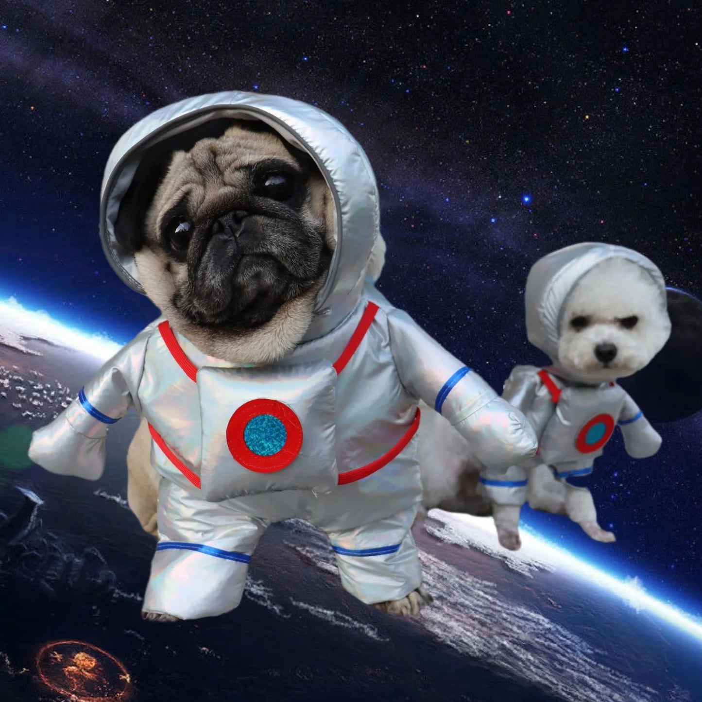 Déguisement d’Halloween pour chien
