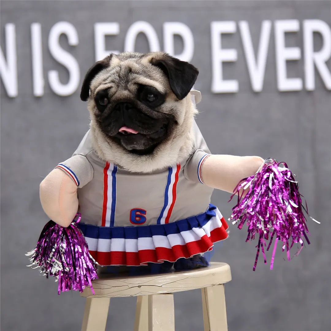 Déguisement d’Halloween pour chien