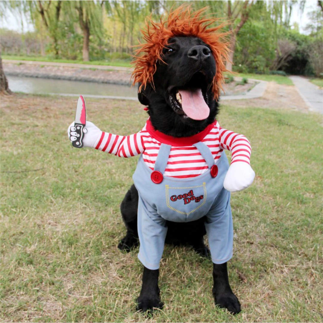 Déguisement d’Halloween pour chien