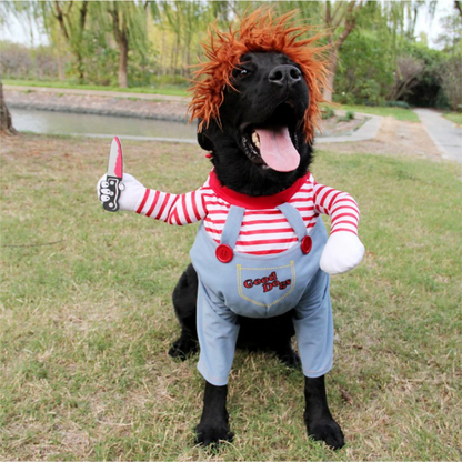 Déguisement d’Halloween pour chien