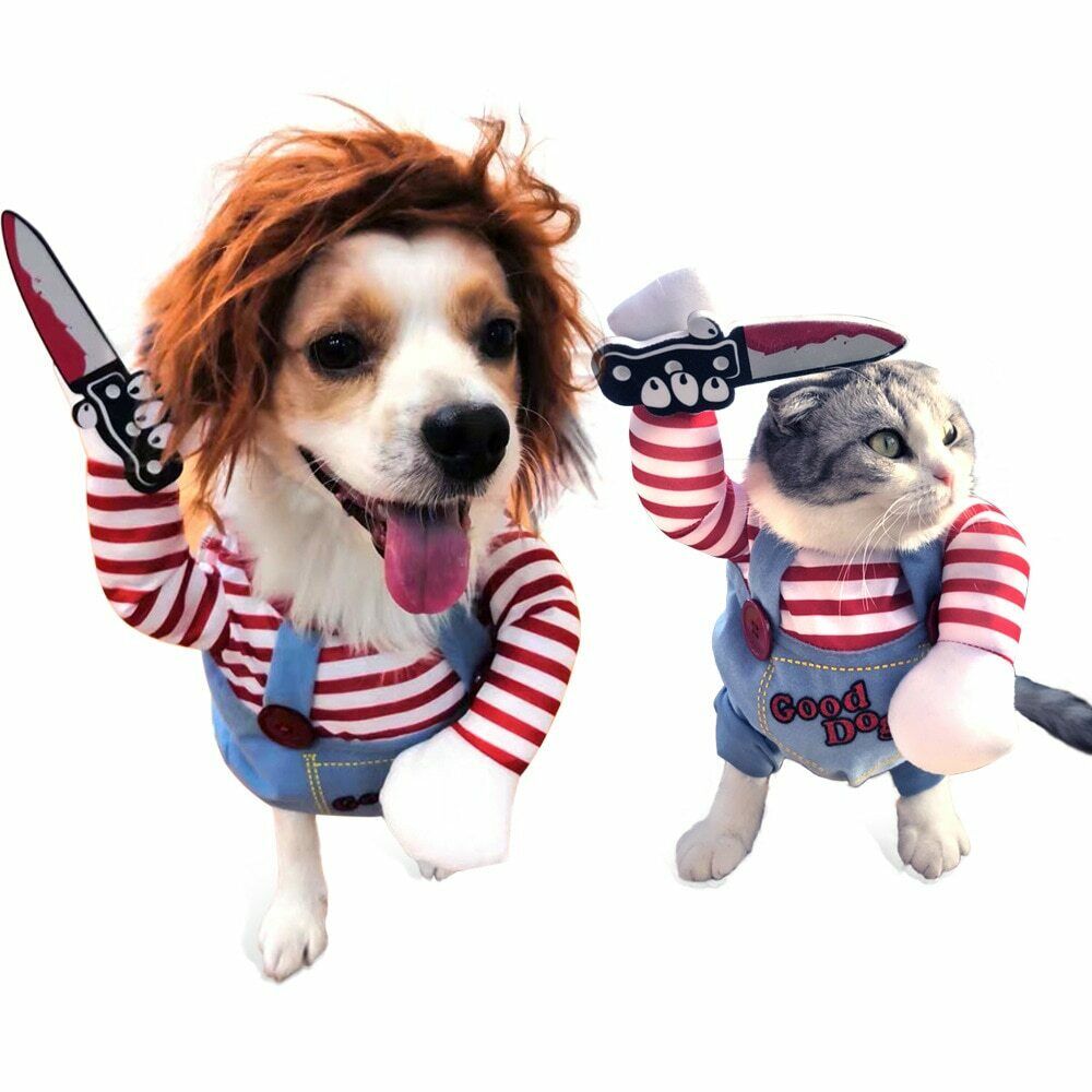 Déguisement d’Halloween pour chien