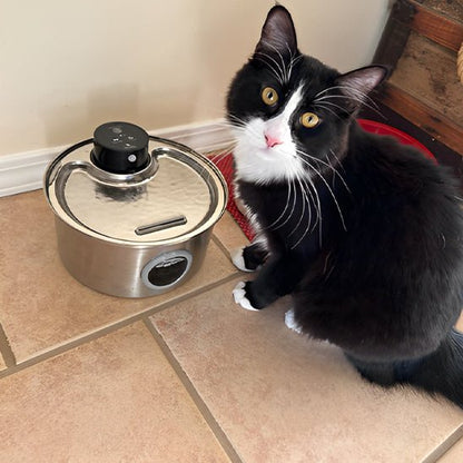 Fontaine à eau pour chat sans fil | hydratation à piles