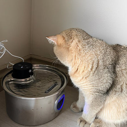 Fontaine à eau pour chat sans fil | hydratation à piles