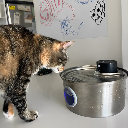 Fontaine à eau pour chat sans fil | hydratation à piles