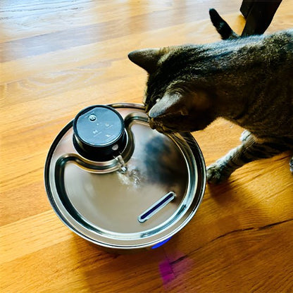 Fontaine à eau pour chat sans fil | hydratation à piles