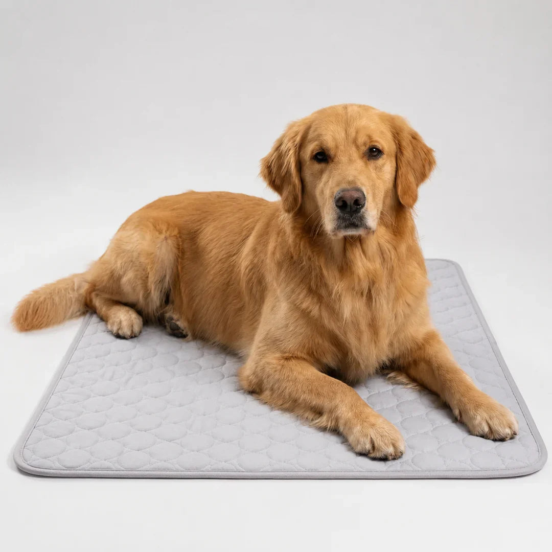 Frostbed tapis rafraîchissant lavable pour animaux