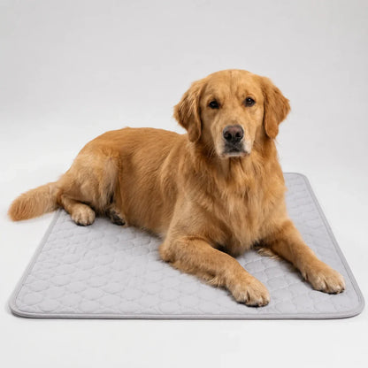 Frostbed tapis rafraîchissant lavable pour animaux