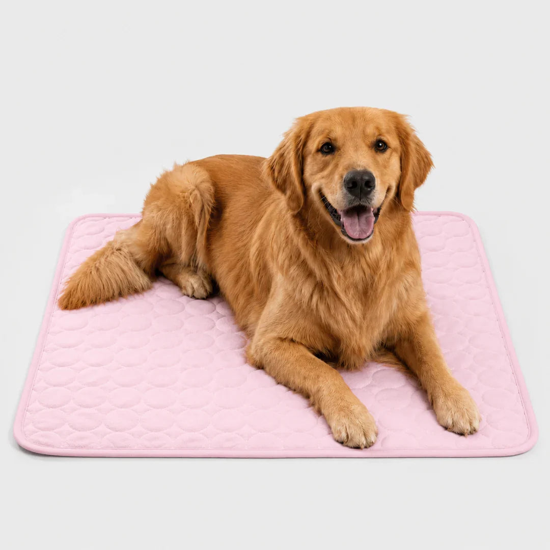 Frostbed tapis rafraîchissant lavable pour animaux