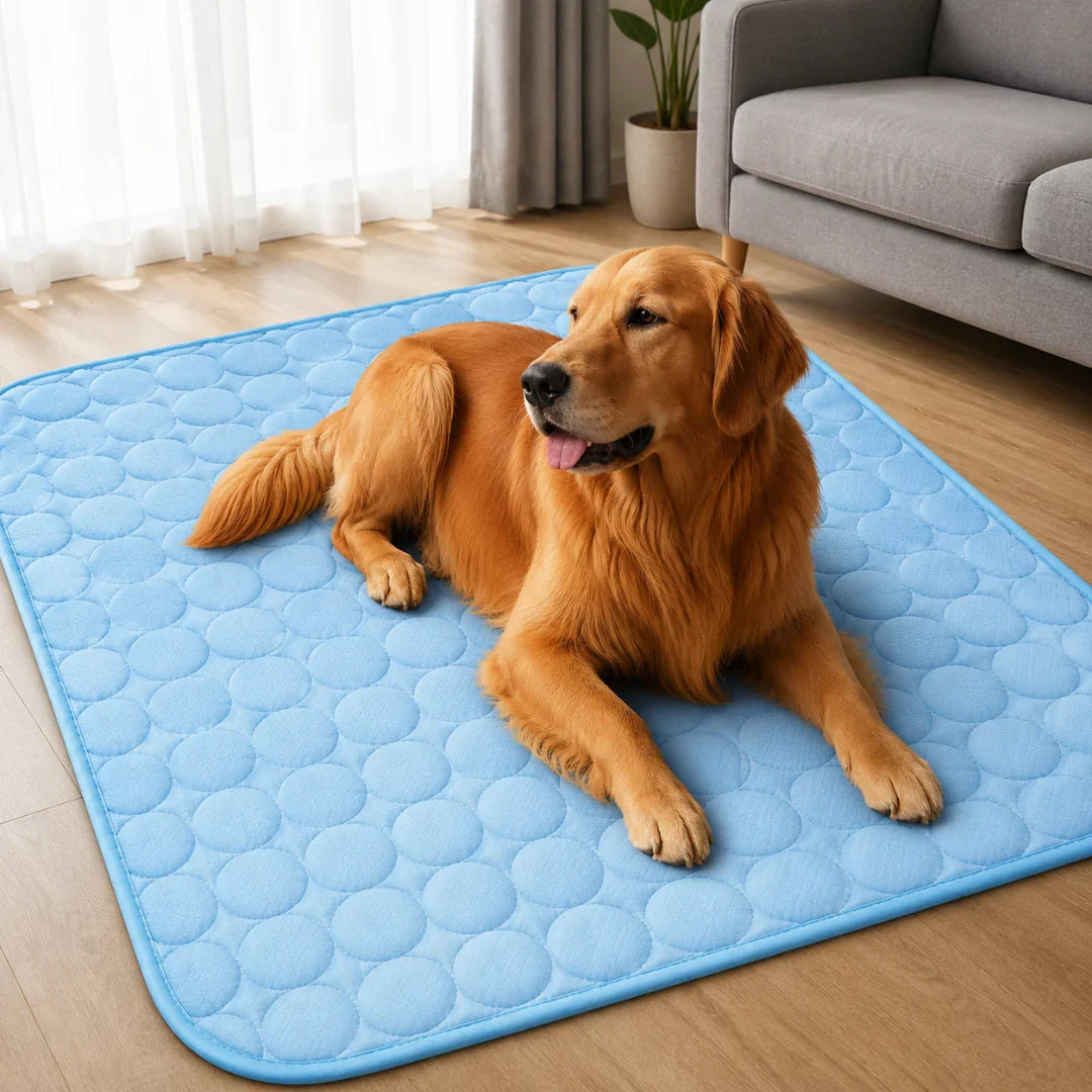 Frostbed tapis rafraîchissant lavable pour animaux
