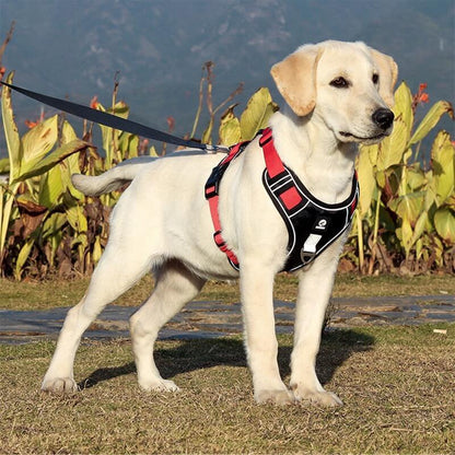 Harnais anti-traction pour chien
