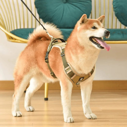 Harnais anti-traction pour chien