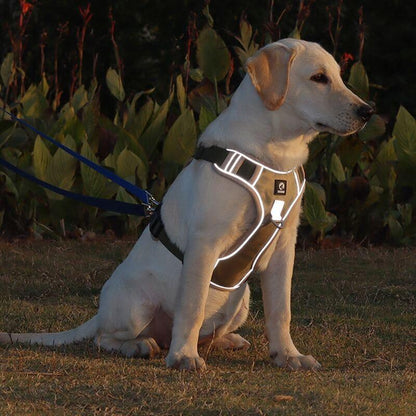 Harnais anti-traction pour chien