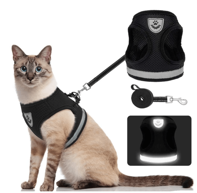 Harnais pour chat anti-fugue avec laisse et éléments réfléchissants