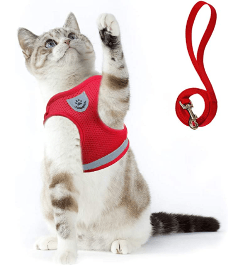 Harnais pour chat anti-fugue avec laisse et éléments réfléchissants