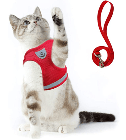 Harnais pour chat anti-fugue avec laisse et éléments réfléchissants