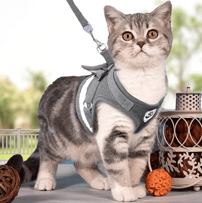 Harnais pour chat anti-fugue avec laisse et éléments réfléchissants
