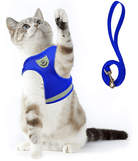 Harnais pour chat anti-fugue avec laisse et éléments réfléchissants