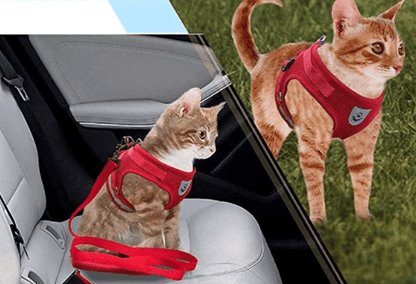 Harnais pour chat anti-fugue avec laisse et éléments réfléchissants