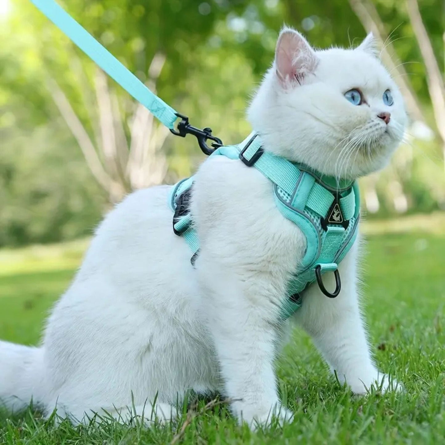 Harnais pour chat anti-fuite sécurisé