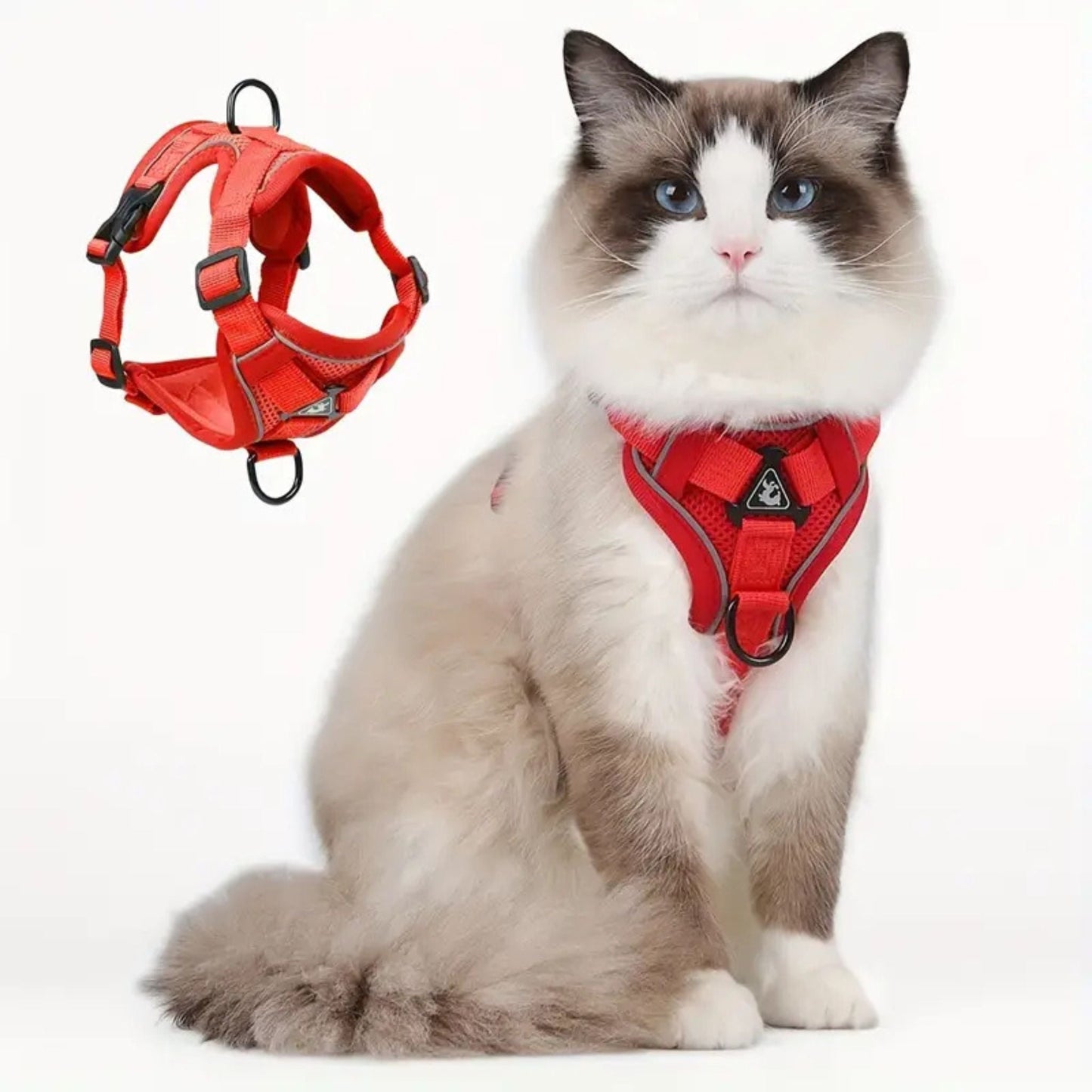 Harnais pour chat anti-fuite sécurisé