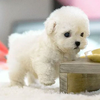 Jouet chiot interactif aux mouvements réalistes