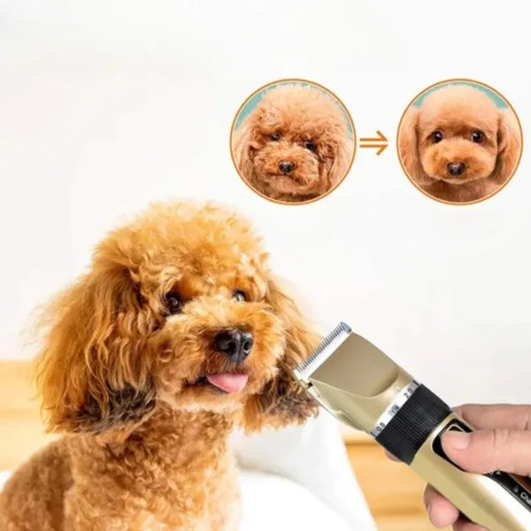 Kit tondeuse de toilettage pour chien silencieuse avec peignes réglables