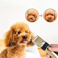 Kit tondeuse de toilettage pour chien silencieuse avec peignes réglables